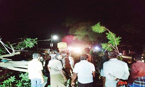 பண்ருட்டி தட்டாஞ்சாவடி காளி கோவில் லாரி மோதியதில் சாலையில் விழுந்து கிடந்த மரத்தினை படத்தில் காணலாம்.