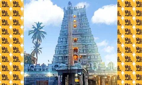 கோப்பு படம்.