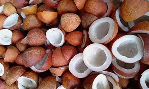 ஆனைமலையில் கொப்பரை மூட்டைகள் வரத்து அதிகம்