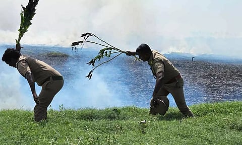 பாகூர் ஏரியில் தீப்பற்றி எரியும் முற்புதர்களை தமிழக வனத்துறையினர் அணைத்த காட்சி.