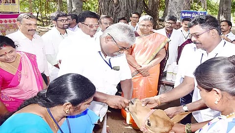 கால்நடை மருத்துவ முகாம், கண்காட்சியை கலெக்டர் டாக்டர் உமா தொடங்கி வைத்து பார்வையிட்டார்.