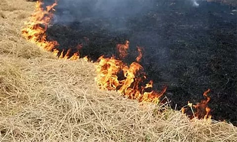 வைக்கோல் கட்டுகள் எரிந்து சேதம்