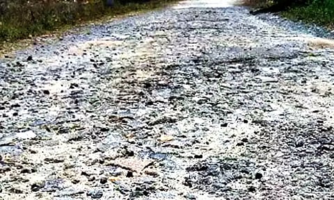 கோப்பு படம்.