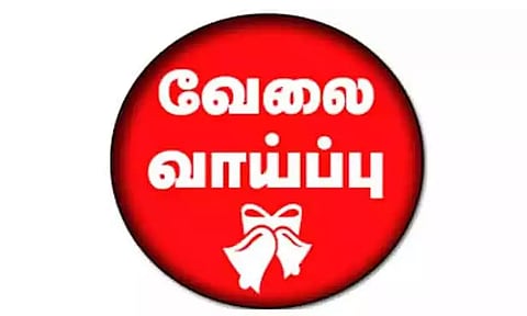 தனியார் துறை வேலை வாய்ப்பு முகாம்