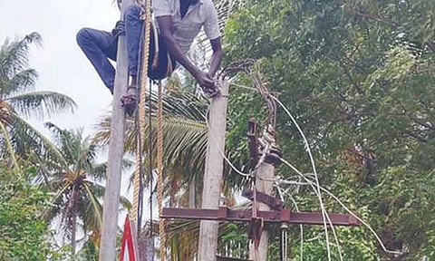 174 சாய்ந்த நிலையில் உள்ள மின் கம்பங்கள் சரி செய்யப்பட்டன