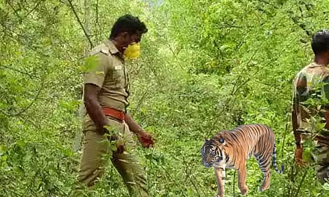 கோப்புப்படம்