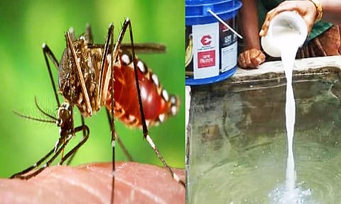 டெங்கு கொசு ஒழிப்பு பணி
