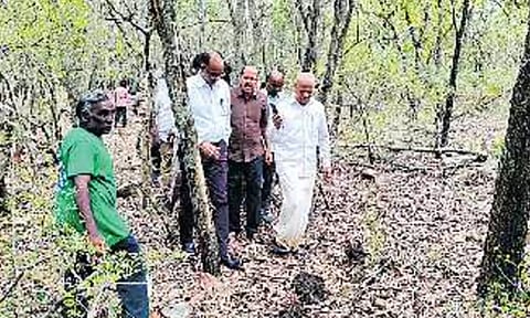சிறுமியை கொன்ற நிலையில் திருப்பதி மலைப்பாதையில் ஆவேசமாக சுற்றிவரும் சிறுத்தை- பக்தர்களுக்கு புதிய கட்டுப்பாடுகள்