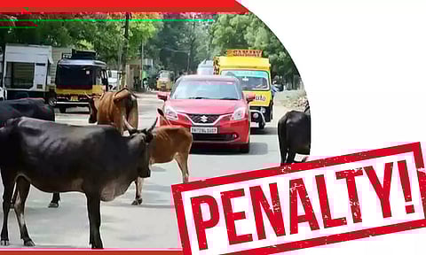 கோப்பு படம்.