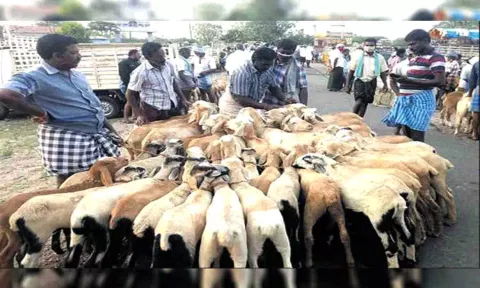 கோப்பு படம்.