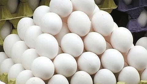 முட்டை விலை மேலும் உயரும்