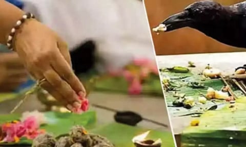 காகம் வடிவில் வீட்டிற்கு வரும் முன்னோர்கள்