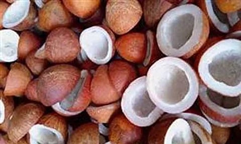 கோப்புபடம்