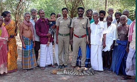 குளத்திற்குள் புகுந்த முதலையை படத்தில் காணலாம்.