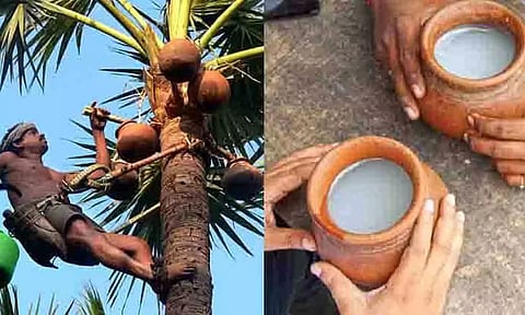 மருத்துவ குணம் கொண்ட கள்.