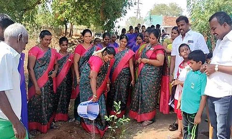 கடையம் பெரும்பத்து ஊராட்சியில் மரக்கன்று நடும் விழா