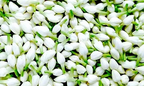 ஆவணி முதல் முகூர்த்த நாள்; தஞ்சையில், பூக்களின் விலை கணிசமாக உயர்வு