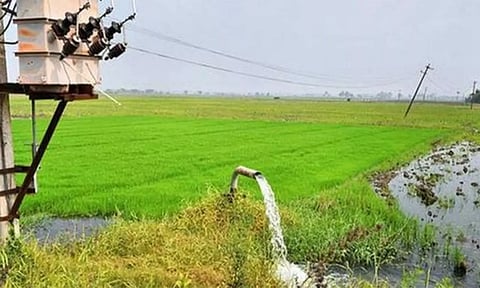தட்கல் சிறப்பு திட்டத்தின் கீழ் விவசாய மின் இணைப்பு பெறுவது எப்படி?