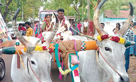 விவசாயத்தை ஊக்குவிக்க மாட்டு வண்டியில் ஊர்வலமாக வந்த மணமக்கள்