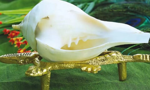 செல்வம் தரும் வலம்புரி சங்கு!