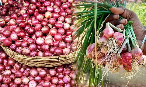 கோப்பு படம்.