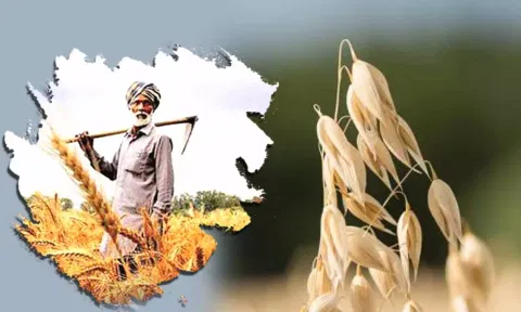 கோப்பு படம்.