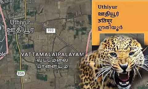 கோப்பு படம்.