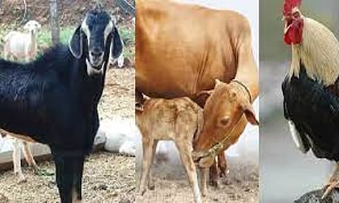புளியம்பட்டி வார சந்தையில் ரூ.75 லட்சத்துக்கு கால்நடைகள் விற்பனை