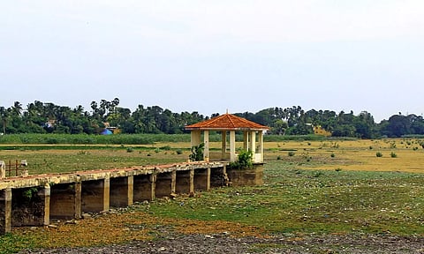 தண்ணீர் இல்லாமல் வறண்டு போன டவுன் நயினார்குளம்.