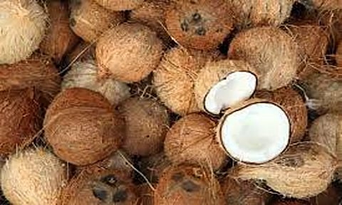 ரூ.2 லட்சத்து 9 ஆயிரத்துக்கு தேங்காய் ஏலம்