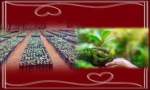 கிராமம்தோறும் மரக்கன்றுகள்-இயற்கை ஆர்வலர்கள் எதிர்பார்ப்பு