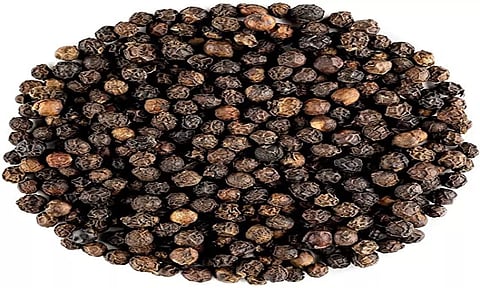 கோப்பு படம்.