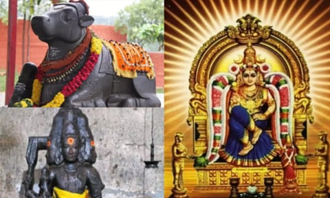 தியாகராஜர் கோவில்-நேர்த்திக்கடன்கள்