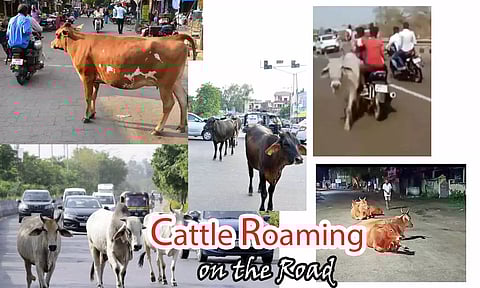 கோப்பு படம்.