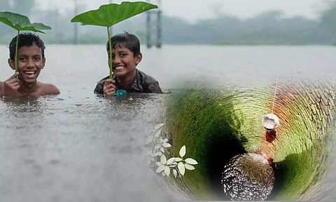 கோப்பு படம்.