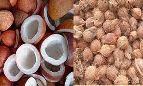 ரூ.5 லட்சத்து 96 ஆயிரத்துக்கு தேங்காய், கொப்பரை விற்பனை