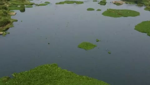 சேலம் லாரி மார்க்கெட் அருகே கடைகளுக்குள் புகுந்த சாக்கடை கழிவுநீர்