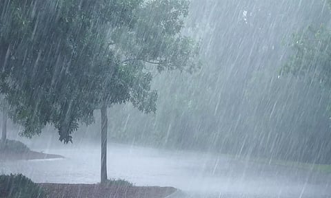 கோப்பு படம்.