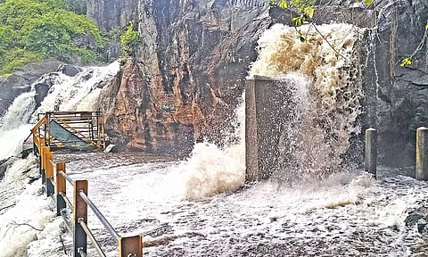 மணிமுத்தாறு அருவியில் ஆர்ப்பரித்து கொட்டும் தண்ணீர்