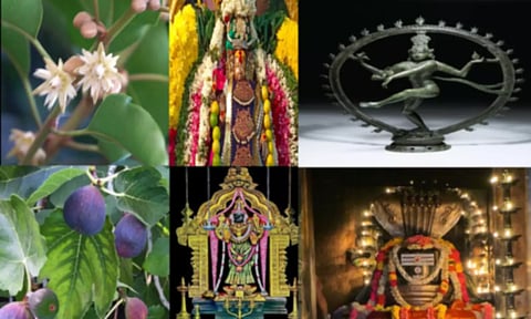 இரட்டை சிறப்பு பெற்ற திருவொற்றியூர் தலம்