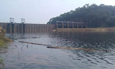 அணை பகுதிகளில் தொடர் மழை: சேர்வலாறு அணை நீர்மட்டம் ஒரே நாளில் 11 அடி உயர்வு