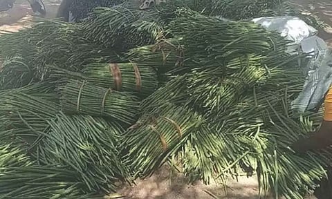 கோப்புபடம்