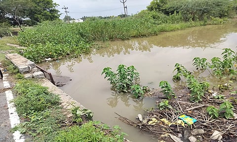 ஏரிக்கு ஆற்று நீர் செல்லும் வாய்க்கால் அடைக்கப்பட்டதால் தண்ணீர் தேங்கி நிற்பதை படத்தில் காணலாம்.