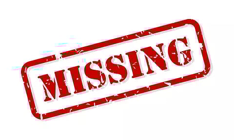 சின்னசேலம் அருகே பெண் மாயம்