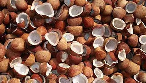 ரூ.8.5 லட்சத்திற்கு தேங்காய் பருப்புகள் விற்பனை