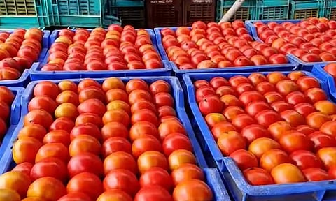 தக்காளி விலை உயர்வு எதிரொலி... பண்ணை பசுமை கடைகளில் விற்பனை செய்ய அரசு ஏற்பாடு