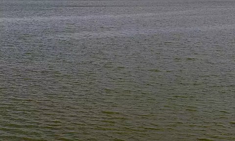 சென்னையில் நிலத்தடி நீர்மட்டம் உயர்வு: திரு.வி.க.நகரில் அதிகபட்சமாக 1.74 மீட்டர் கூடியுள்ளது