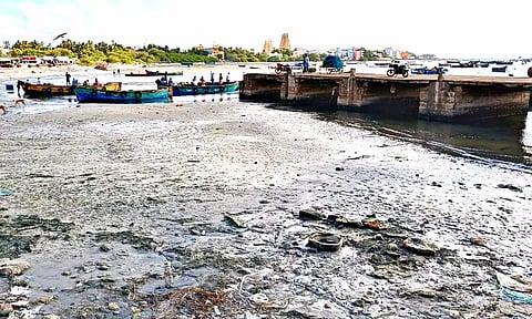 மன்னார் வளைகுடா கடலில் சூறைக்காற்று: ராமேசுவரத்தில் 50 மீட்டர் உள்வாங்கிய கடல்