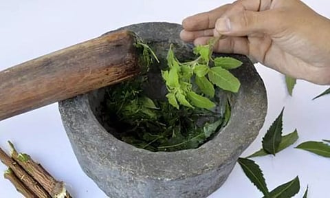 துளசியால் குணமாகும் வியாதிகள்