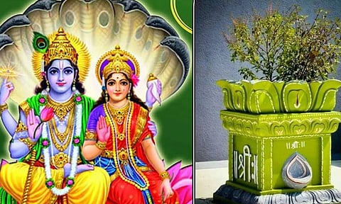 துளசி பிறந்த கதை